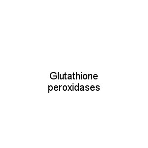 Glutathione peroxidases